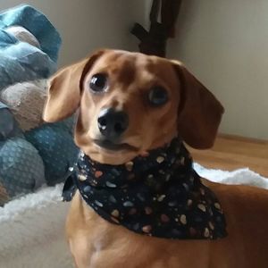 Meet your Posher, Sharon